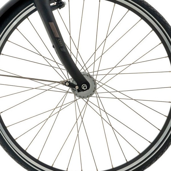 front hub på Giant Attend RS 2