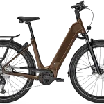 Kalkhoff ENDEAVOUR 5.B ADVANCE+ 625wh Dame - Brun