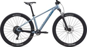 Giant Liv Tempt 2 2025 – Frost Silver