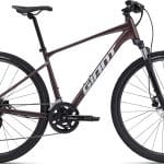 Giant Roam Disc 2 2025 - Charcoal Plum