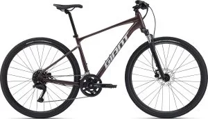 Giant Roam Disc 2 2025 – Charcoal Plum