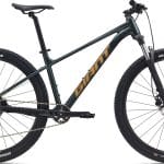 Giant Talon 2 2025 - Asphalt Green