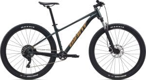 Giant Talon 2 2025 – Asphalt Green