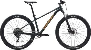 Giant Talon 2 2025 – Asphalt Green