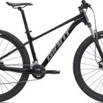 Giant Talon 3 29" 2025 - Panther