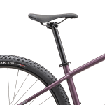 Sadel på Specialized Rockhopper