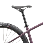 Sadel Bridge Sport på Specialized Rockhopper