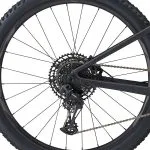 Bagnav med SRAM SX Eagle bagskifter på Giant Liv Embolden 1