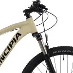 Styr på Principia LTD SRAM SX 1x12sp Flatbar RS Susp. Fork