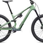 Specialized Stumpjumper 15 EVO Expert 2026 - Gloss Pistachio
