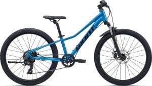 Giant Talon 24 Disc 2026 – Metallic Blue