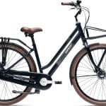Giant Triple X 1 Dame 2026 - Cold Night