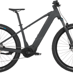 Bergamont E-Revox Sport 10 2025 - Flaky Black