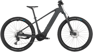 Bergamont E-Revox Sport 10 2025 – Flaky Black