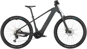 Bergamont E-Revox Sport 10 2025 – Flaky Black