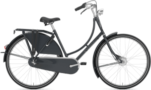 Gazelle Classic Dame 2026 – Panther Black Blank