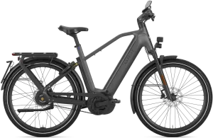 Gazelle Eclipse Speed Herre 2026 – Anthracite Grey