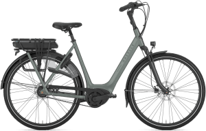Gazelle Orange C8+ HMB Dame 2026 – TwiLight Green