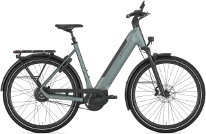 Gazelle Ultimate C380 Dame 2026 – Dew Green Mat