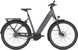 Gazelle Ultimate C5+ Dame 2026 – Meteor Grey Mat