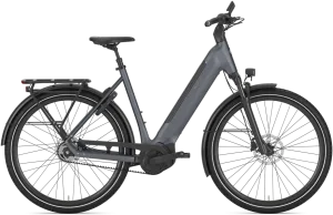 Gazelle Ultimate C5+ Dame 2026 – Meteor Grey Mat
