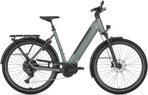 Gazelle Ultimate T11 Dame 2026 – Twilight Green Mat