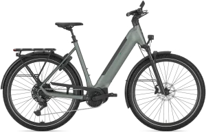 Gazelle Ultimate T11 Dame 2026 – Twilight Green Mat