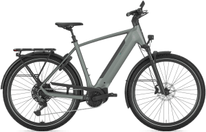 Gazelle Ultimate T11 Herre 2026 – Twilight Green Mat