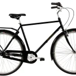Raleigh Darlington Herre 7g - Sort
