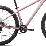 Kranksæt på Specialized Rockhopper Sport 29