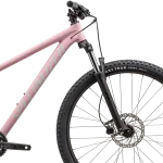 Styr Stout Mini Rise på Specialized Rockhopper Sport 29