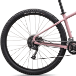 Bagnav på Specialized Rockhopper Sport 29