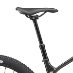 Sadel på Cannondale Habit HT 2