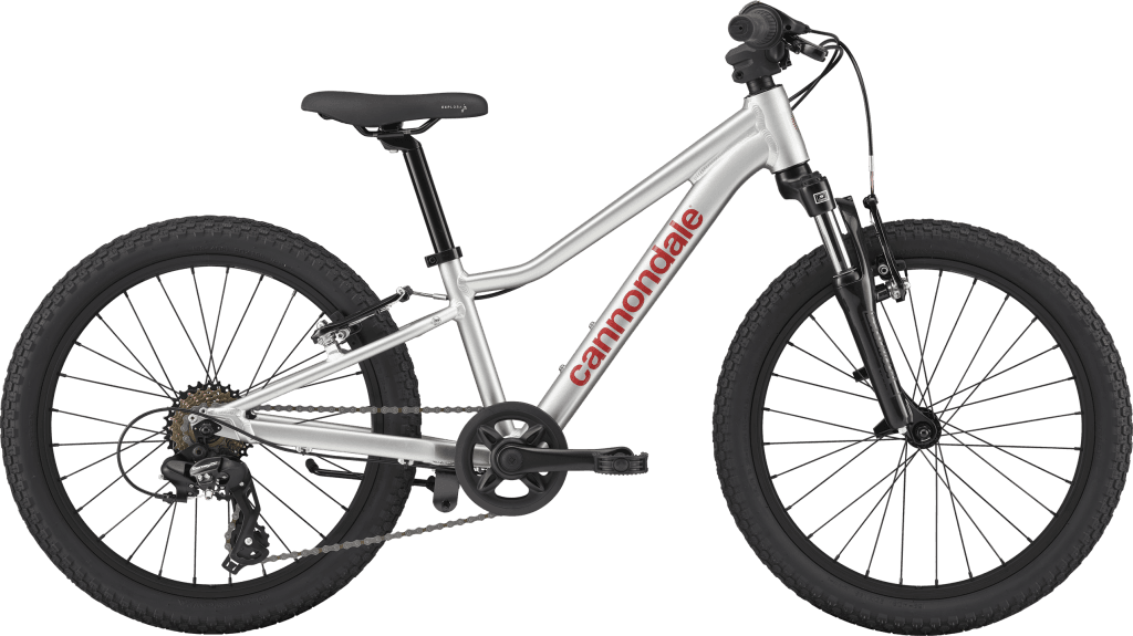Cannondale Kids Trail 20 2026 - Silver