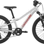 Cannondale Kids Trail 20 2026 - Silver