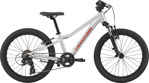 Cannondale Kids Trail 20 2026 – Silver