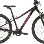 Cannondale Kids Trail 24 2026 - Royal Purple