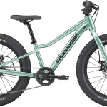Cannondale Kids Trail Plus 20 2026 - Cactus Green