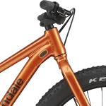 Styr på Cannondale Kids Trail Plus 24
