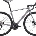 Giant Liv Langma Advanced 2 2026 - Native Grey