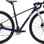 Giant Liv Seek 2 2026 - Purple Haze