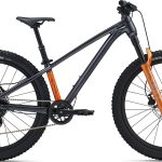 Giant STP 24 2026 - Black Chrome