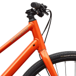 Styr på Specialized Sirrus X 2.0 Step-Through