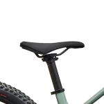 Sadel på Specialized Riprock Comp 24