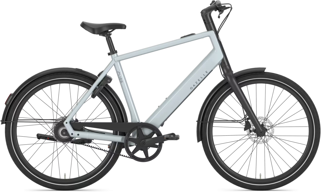 Gazelle Curb C1 Herre 2027 - Platinum White Blank