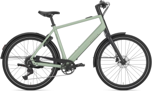 Gazelle Curb T9 Herre 2027 – Pistache Green Blank