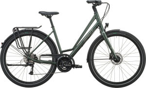 Scott Vitess 25 Wave 2027 – Kelp Green